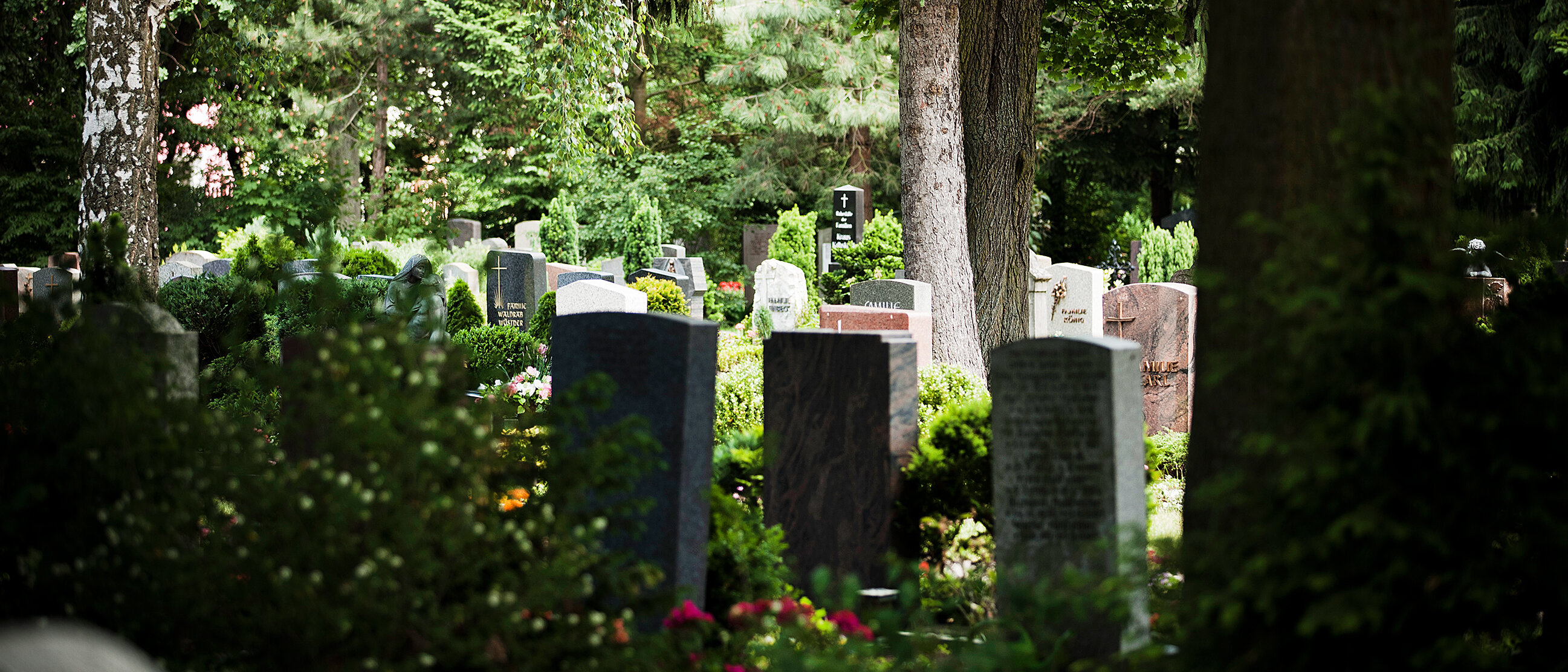 Grabsteine im Grünen auf einem Friedhof 