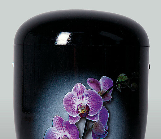 Überurne Orchidee